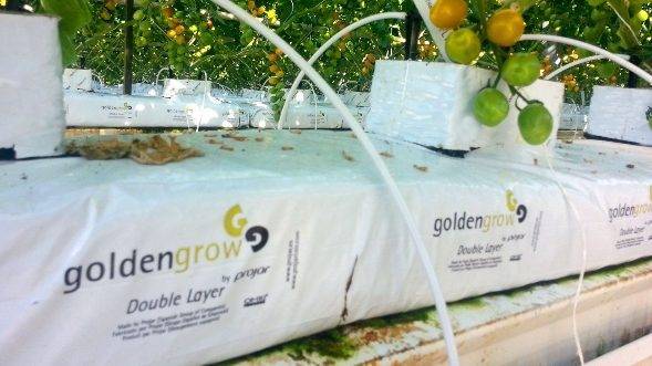 Sustratos para la produccion hidroponica|projar sustratos (2)|Sustratos para produccion hidroponica